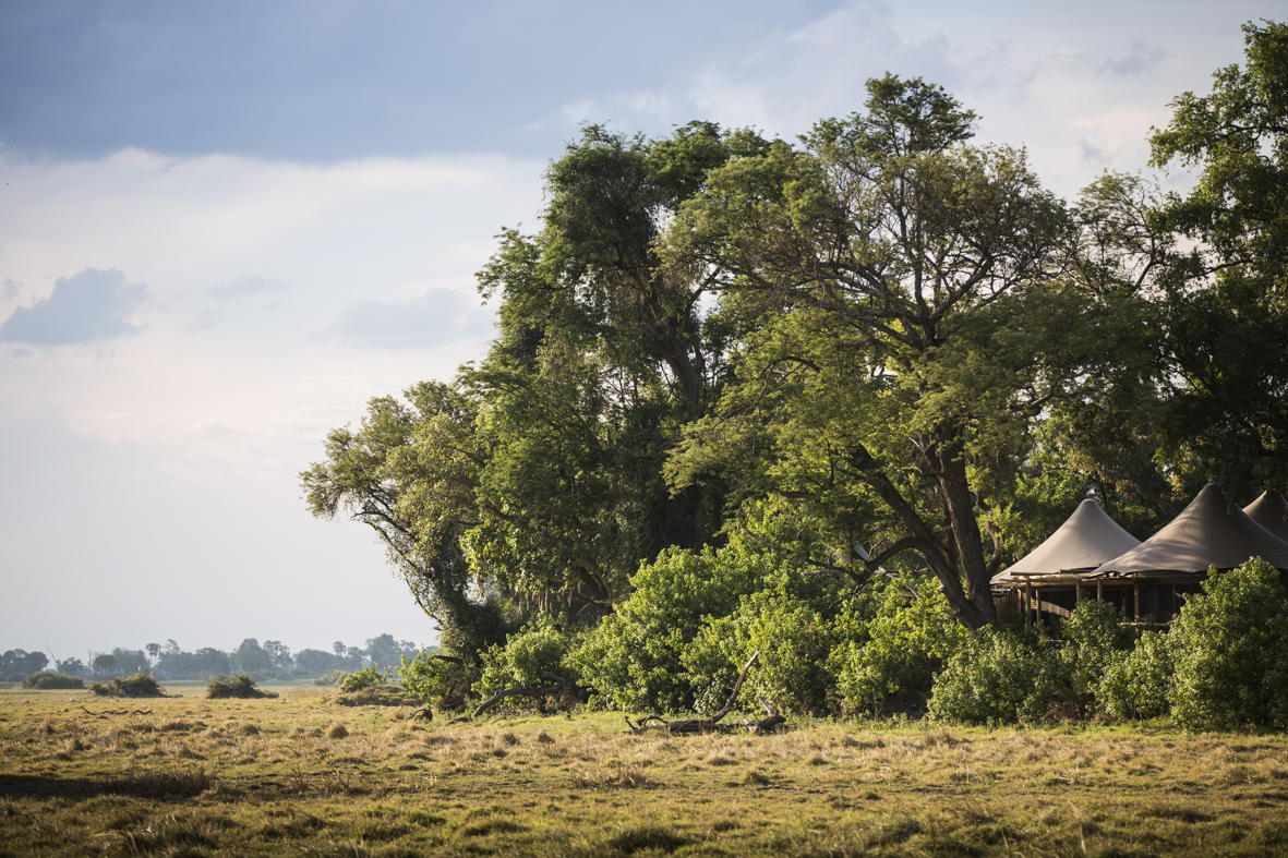 Wilderness Little Mombo